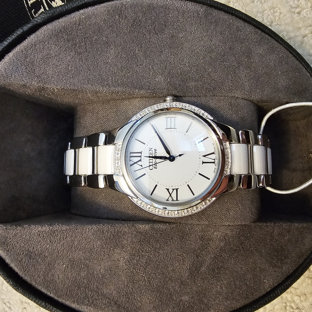 Citizen Eco-Drive EM0170-50A